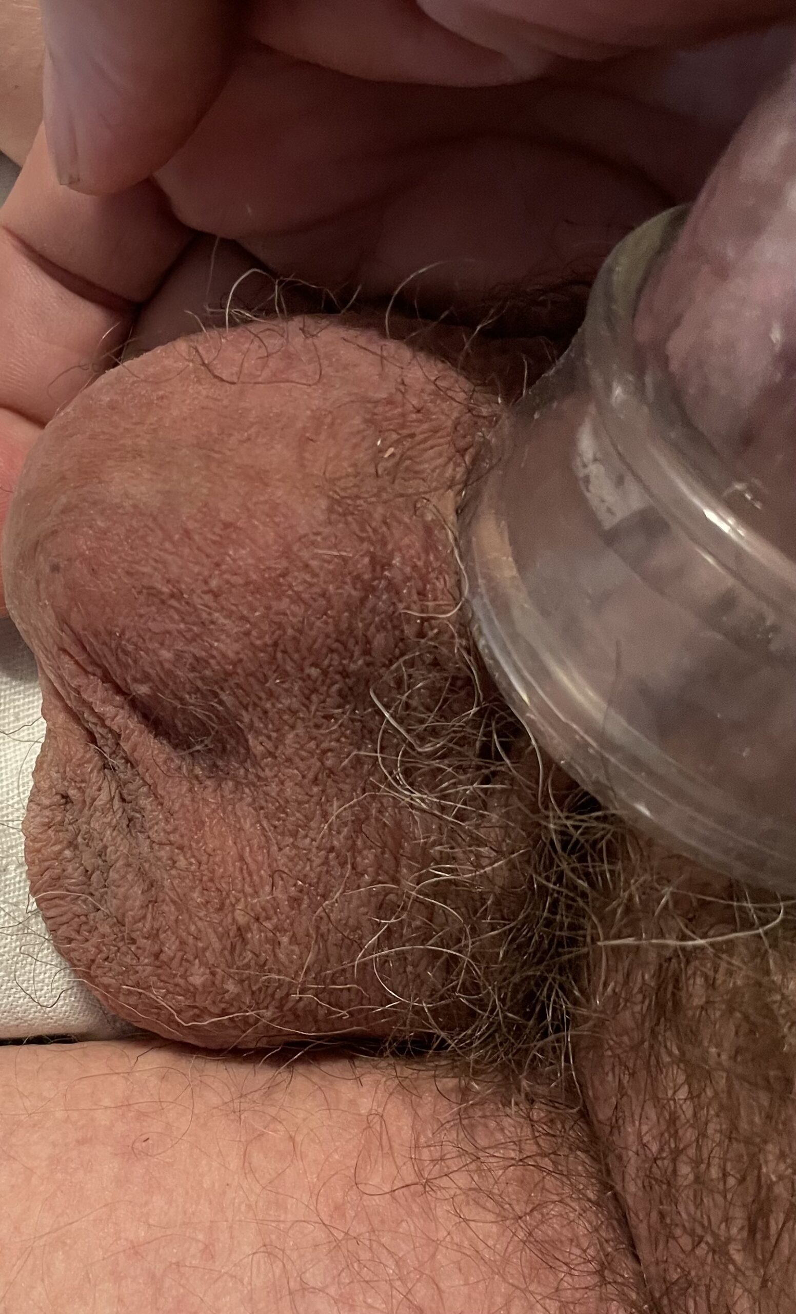 Cock ass and balls